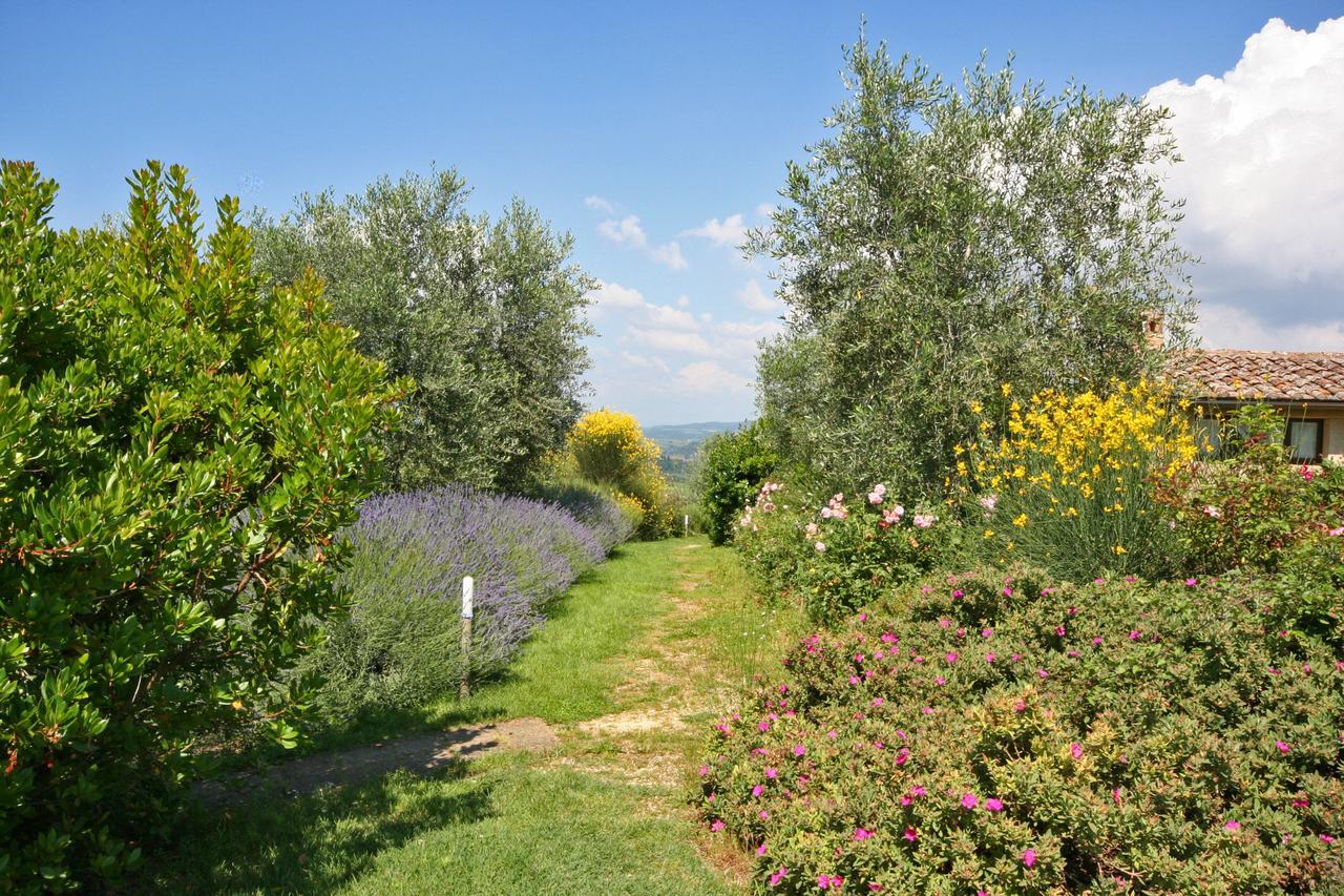 Podere Il Pino Poggibonsi Exteriör bild